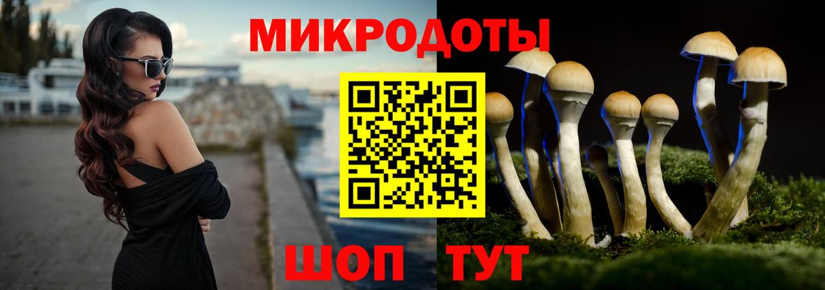 Псилоцибиновые грибы мухоморы  Псилоцибиновые грибы Cubensis  Вход с VPN  Людиново 